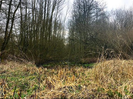 Storymap Krimpenerhout